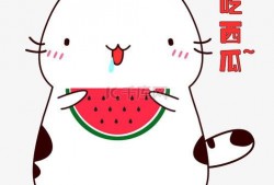 吃瓜表情包图片搞笑可爱,吃瓜表情包的搞笑可爱之旅